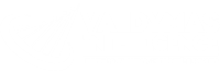 Valdymas Africa